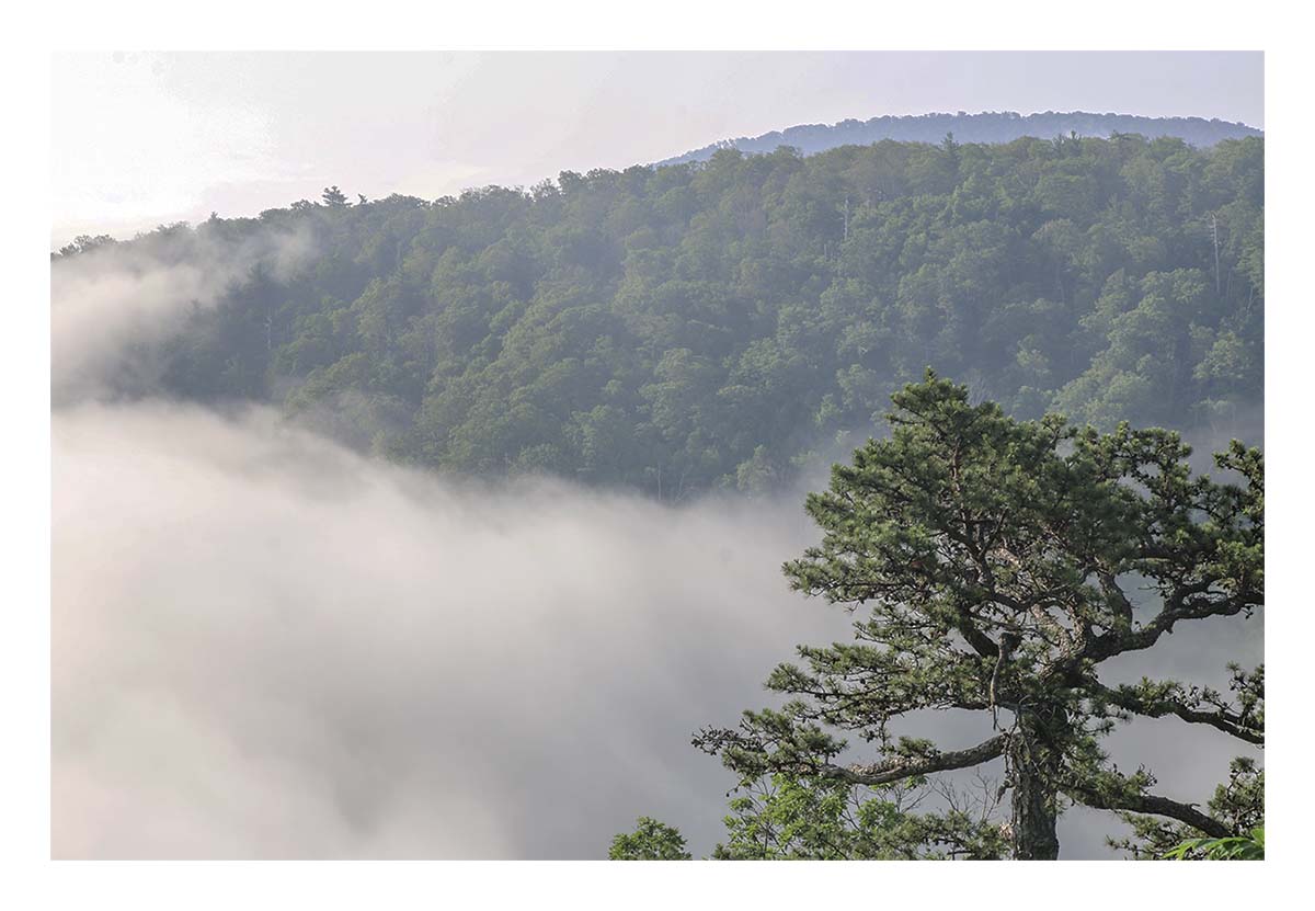 Shenandoah NP